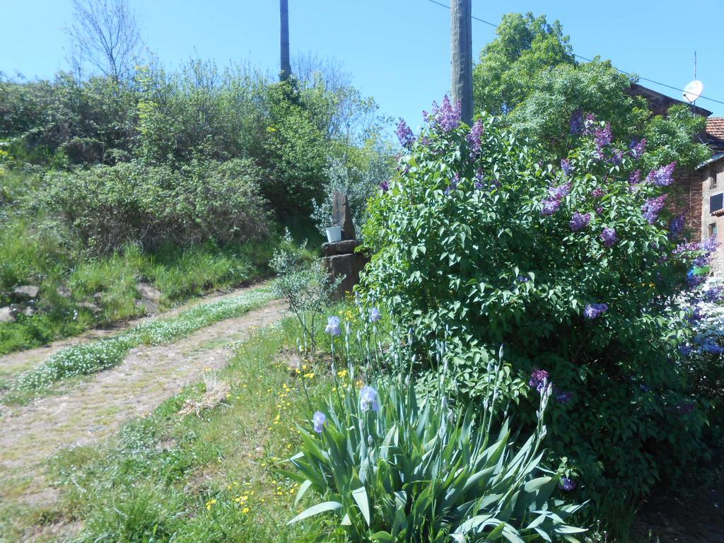 Gite Des Monts Saint-Izaire Εξωτερικό φωτογραφία