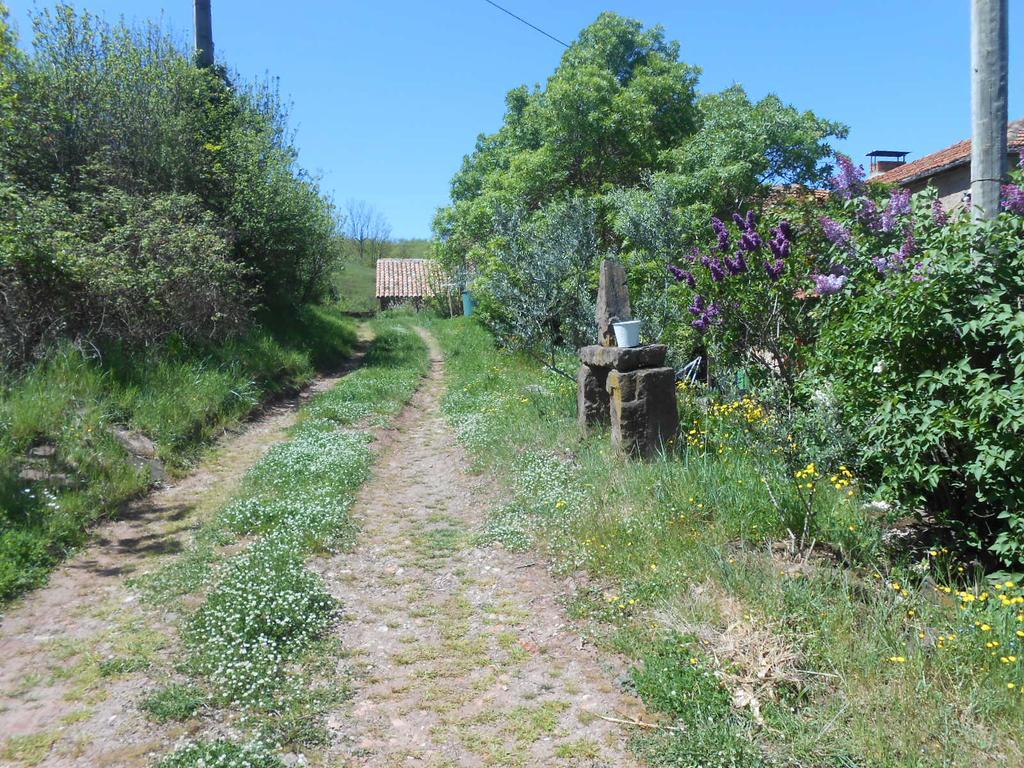 Gite Des Monts Saint-Izaire Εξωτερικό φωτογραφία