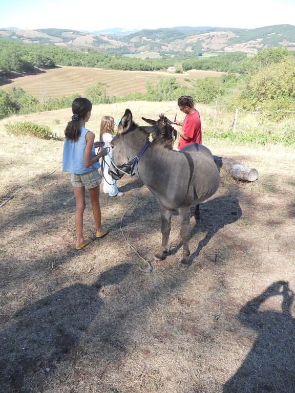 Gite Des Monts Saint-Izaire Εξωτερικό φωτογραφία