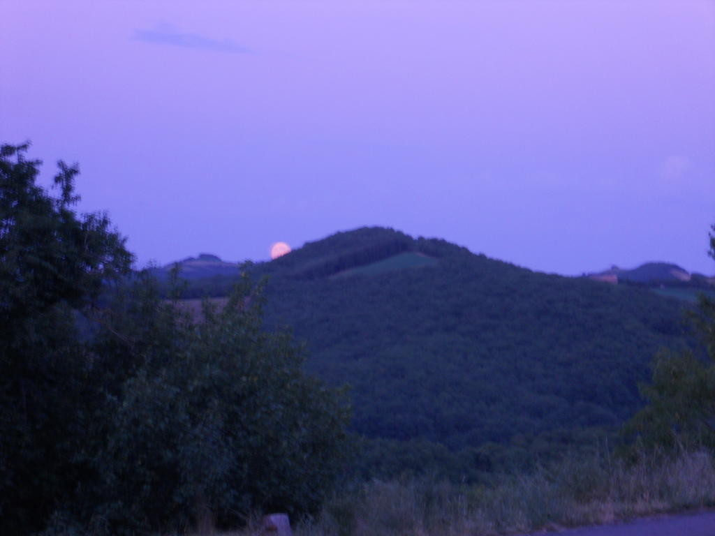 Gite Des Monts Saint-Izaire Εξωτερικό φωτογραφία