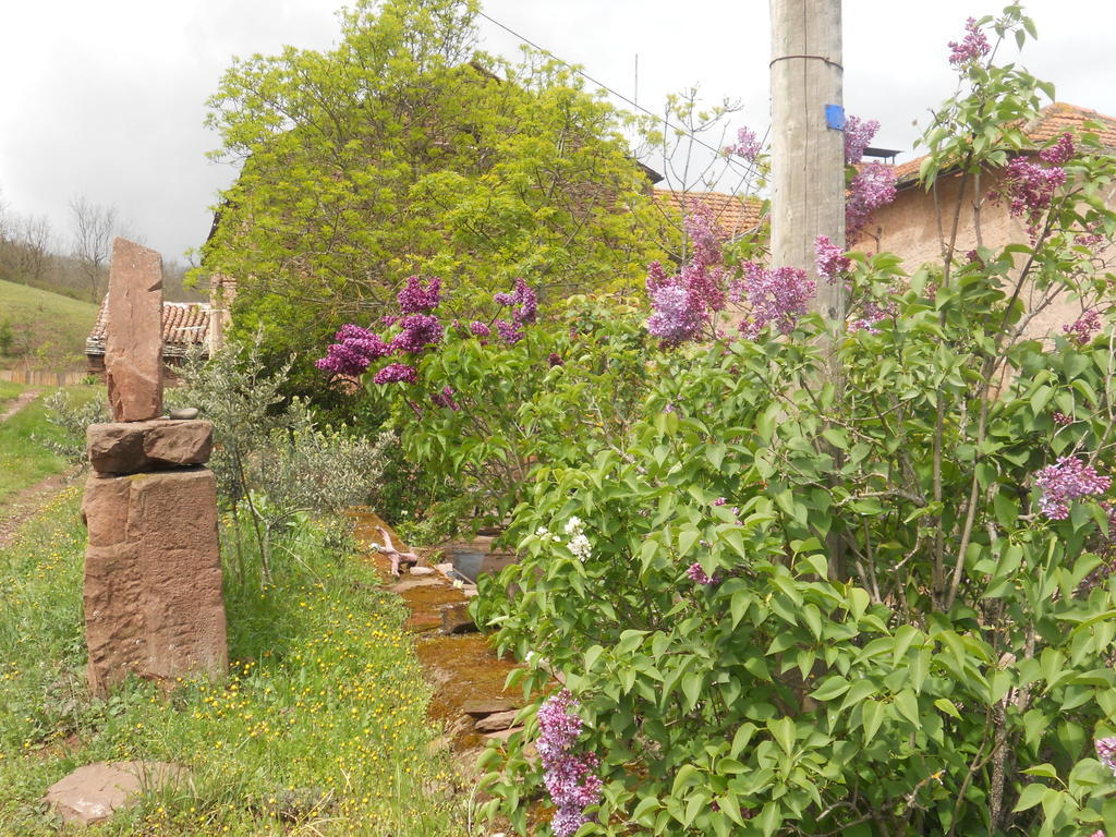 Gite Des Monts Saint-Izaire Εξωτερικό φωτογραφία